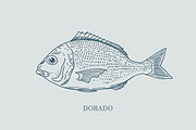 Hand drawn vectors of saltwater fish, an Animal Illustration by Naty Art (Thumbnail 3 of 11)