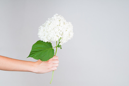 hand holding flowers