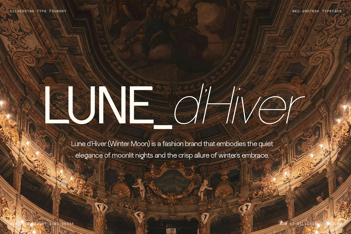 SLTF La Villa - Neo-Grotesk Typeface, a Sans Serif Font by SilverStag Type Foundry (Photo 10 of 20)
