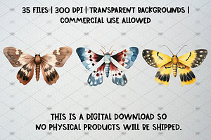 Watercolor Moth Clipart Set, 35 PNG