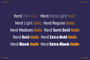 Herd | Condensed Sans Font Family, a Sans Serif Font by Wahyu & Sani Co. (Thumbnail 3 of 11)