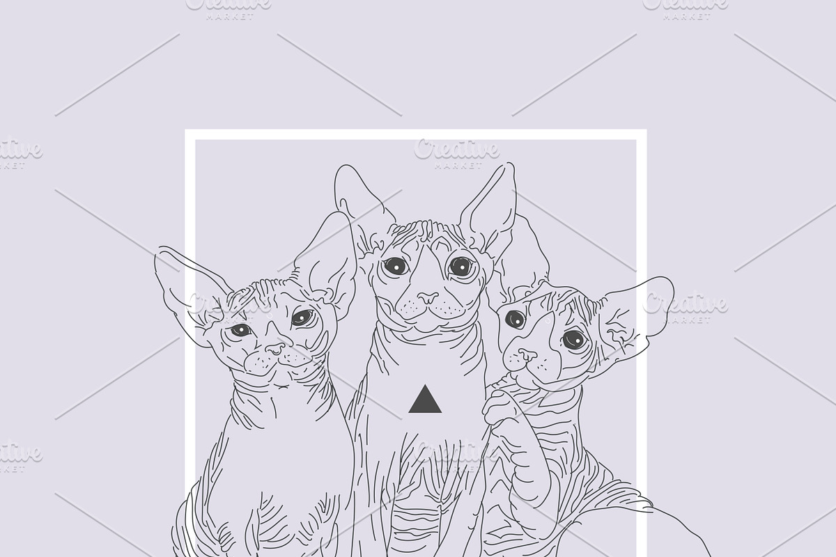 The cats, an Animal Illustration by 2D/3D (Photo 2 of 5)