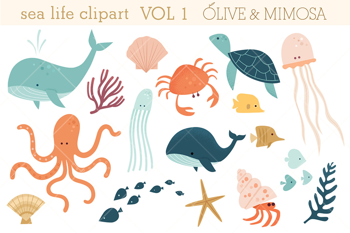 Sea life set VOL 1, an Animal Illustration by Olive & Mimosa