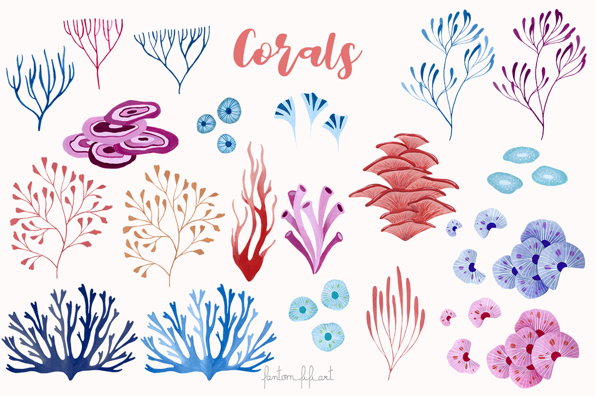 Under the sea big collection, an Animal Illustration by Fantom Fifi Art (Photo 3 of 8)