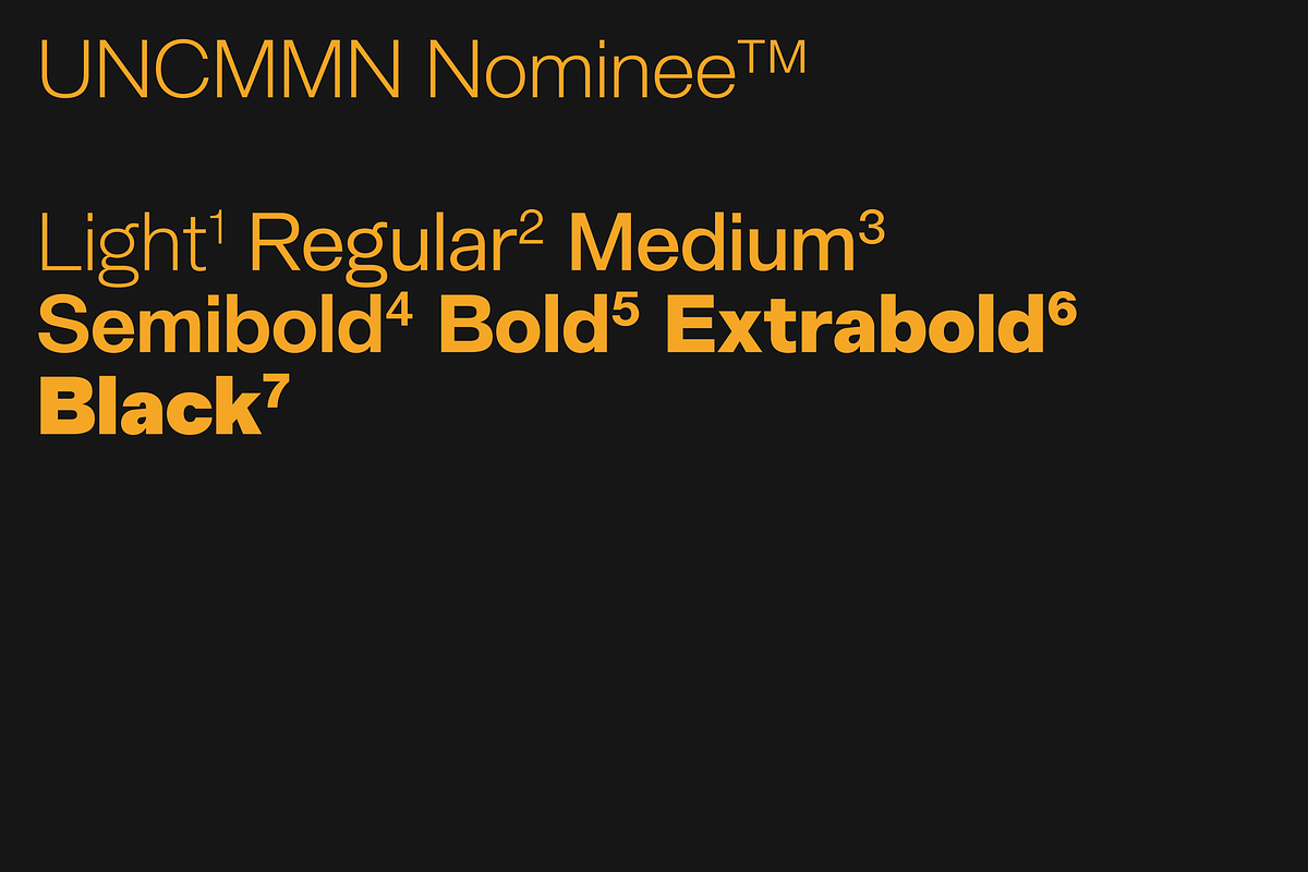 Uncmmn Nominee Sans Serif 21 Style, a Font by Kotivoro (Photo 16 of 30)