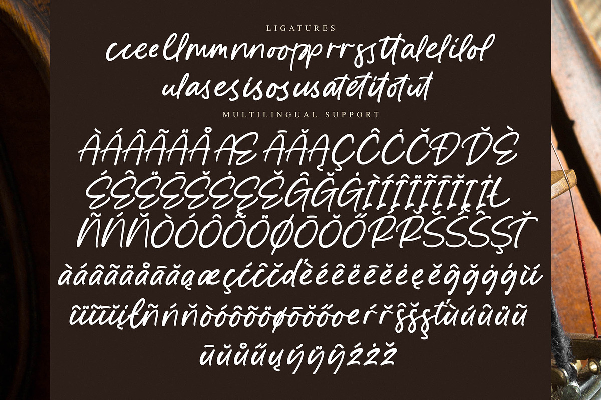 Majestic Skyline, a Script Font by operatype.co (Photo 14 of 15)