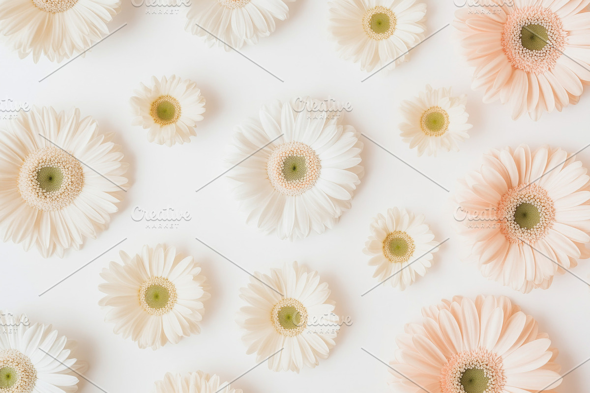 Spring holiday postcard with white a, a Photo by Dvoevnore photos (Photo 1 of 2)