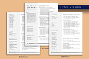Professional Resume Template Pack, a Resume Template by VictoriousVita (Thumbnail 4 of 8)