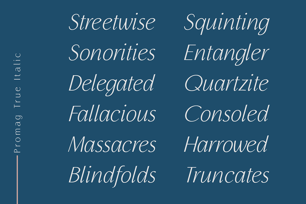 Promag Font Duo (Family), a Sans Serif Font by xdCreative (Photo 12 of 15)