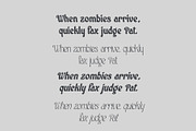 Sweet Waterfall, a Serif Font by Sentavio (Thumbnail 5 of 11)