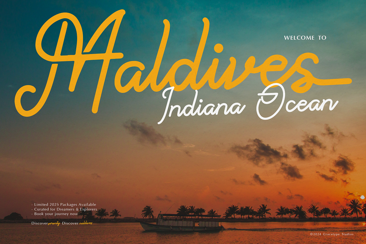 Paradise Gallaiso | Monoline Script, a Script Font by gracetype_studio (Photo 8 of 12)