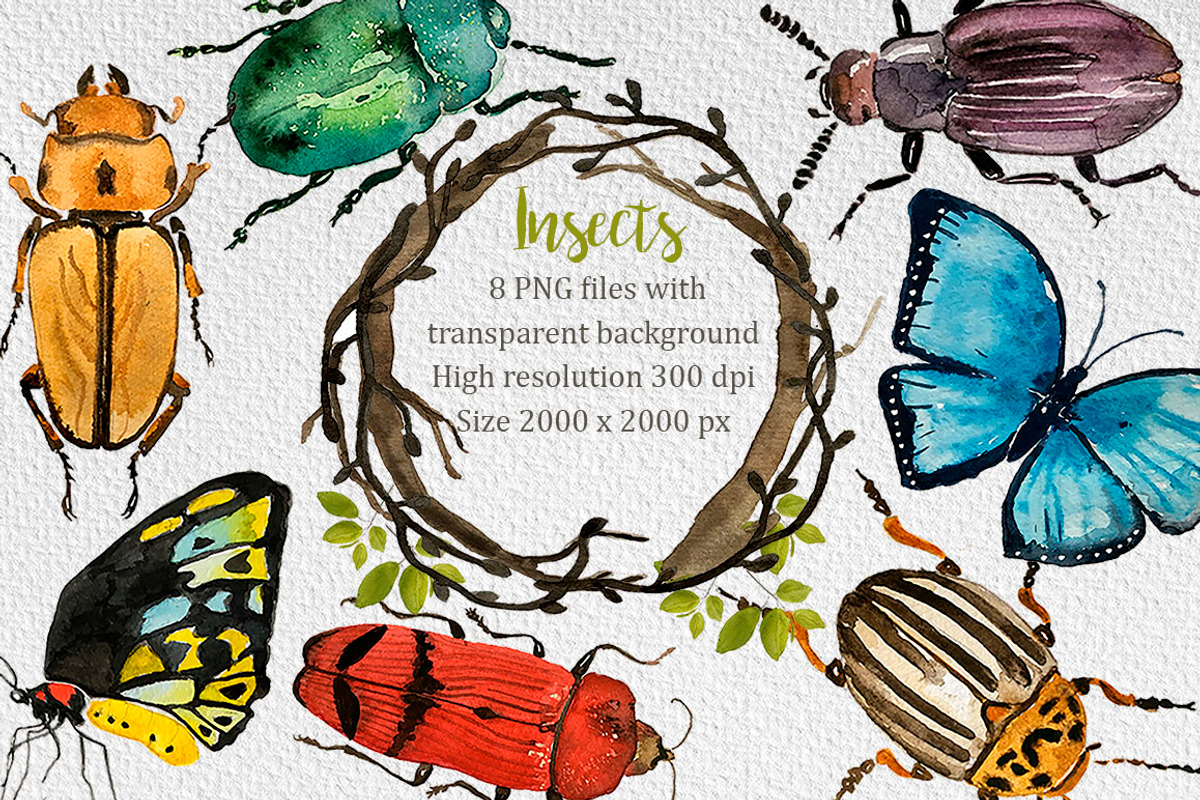 Bugs and butterflies watercolor set, a Decorative Illustration by Bychovsky design (Photo 1 of 3)