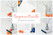 Tangerine BUNDLE, a Print Template by Kate Roubin (Thumbnail 3 of 8)