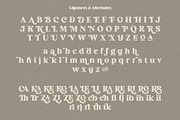 Cocktail - Elegant Retro Serif, a Serif Font by Harmonais Visual (Thumbnail 17 of 18)