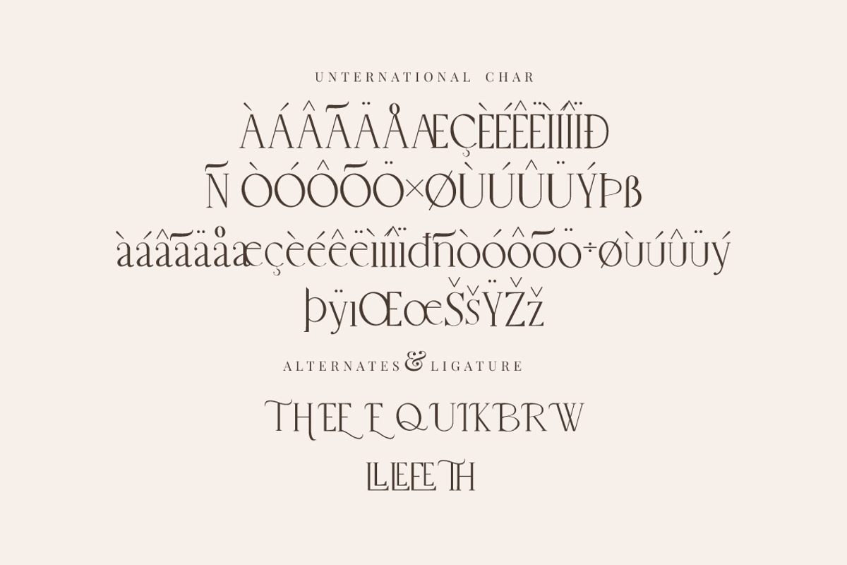 Belle Quest Stylish Serif, a Serif Font by KennedyStudio (Photo 9 of 10)