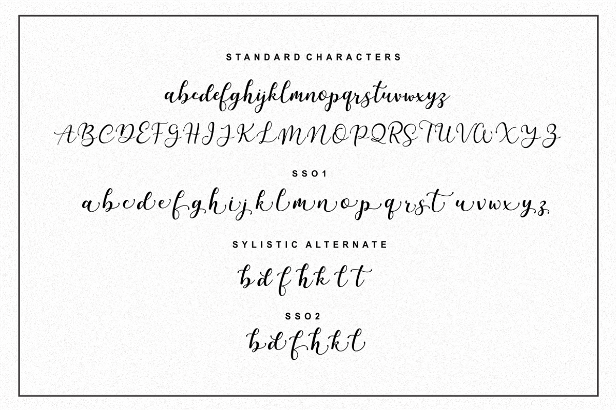 Martinesse - Beautiful Script Font, a Script Font by Sronstudio (Photo 13 of 14)