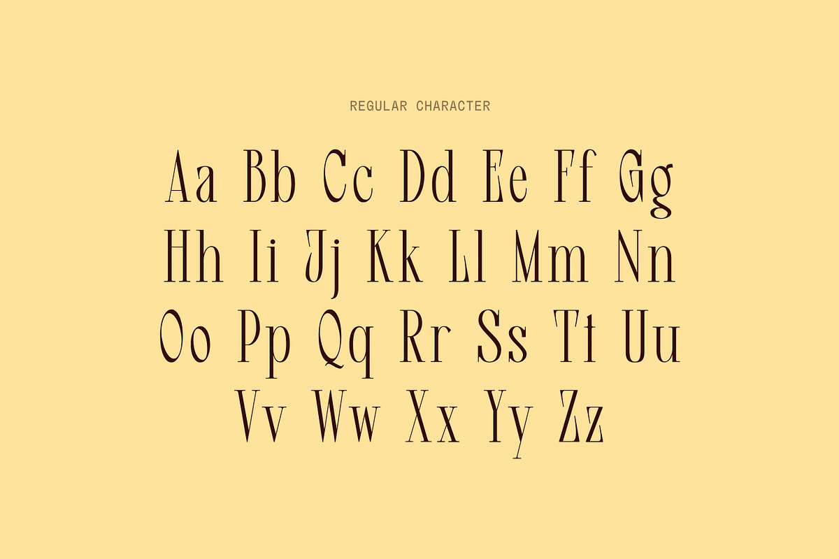 Dear Logical - Display Serif Font, a Serif Font by Matsero (Photo 2 of 8)