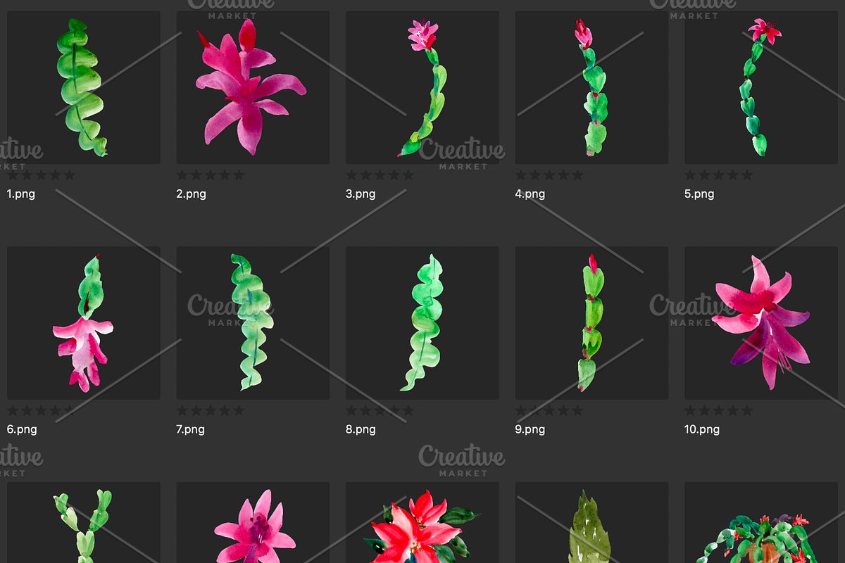 Watercolor Thanksgiving cactus, an Illustration by Belusuab (Photo 4 of 14)