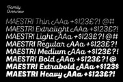 Maestri, a Font by Fenotype (Thumbnail 6 of 7)