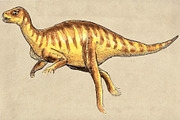 Dinosaurs Watercolor Pack Clipart #2, an Illustration by Doggy Days (Thumbnail 7 of 7)