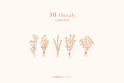 Floral Line Drawings Logo Elements, an Illustration by Kaya Fonts (Thumbnail 4 of 10)