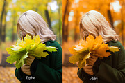 30 Golden Fall Lightroom Collection, a Preset Add-On by 3Motional (Thumbnail 6 of 11)