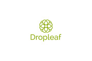 Dropleaf – Modern Nature Logo Design, a Branding & Logo Template by arhabib (Thumbnail 7 of 13)