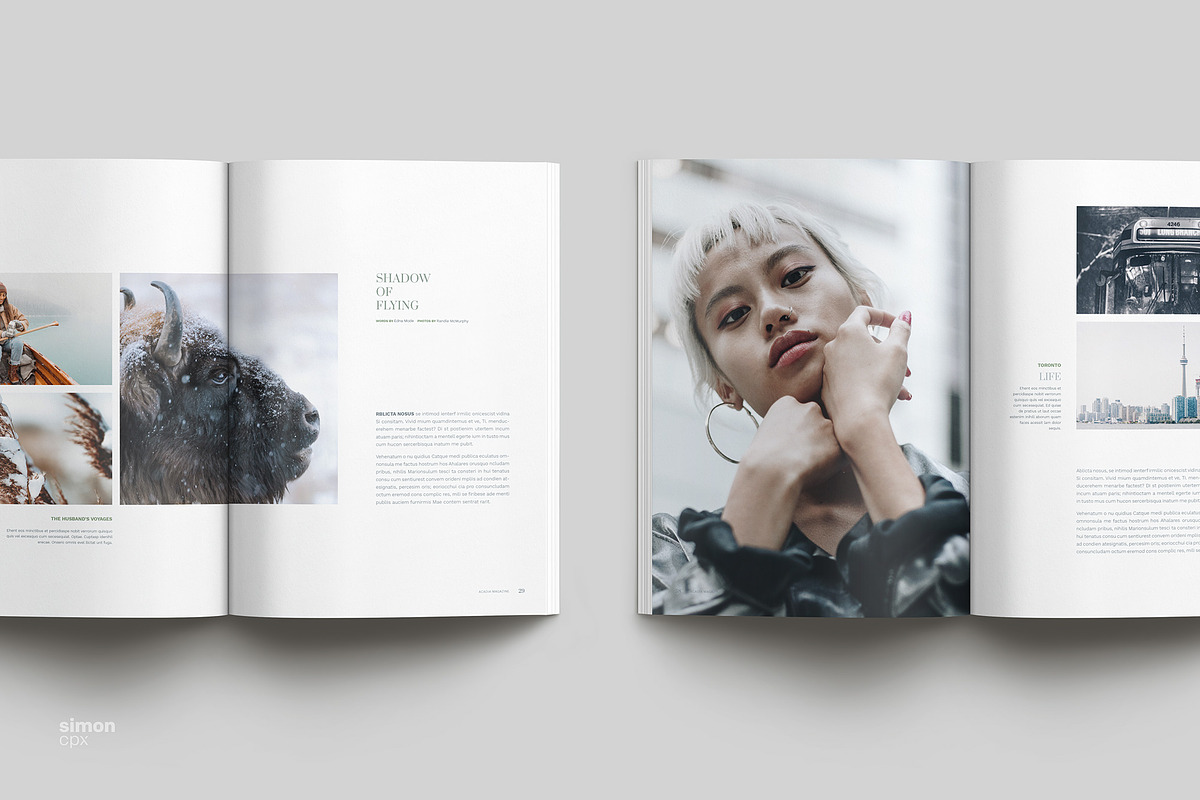 ACADIA Brochure / Magazine, a Brochure Template by Type Here Studio (Photo 9 of 13)