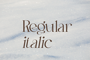 Ankadi Serif, a Serif Font by Creative Foundry (Thumbnail 2 of 8)
