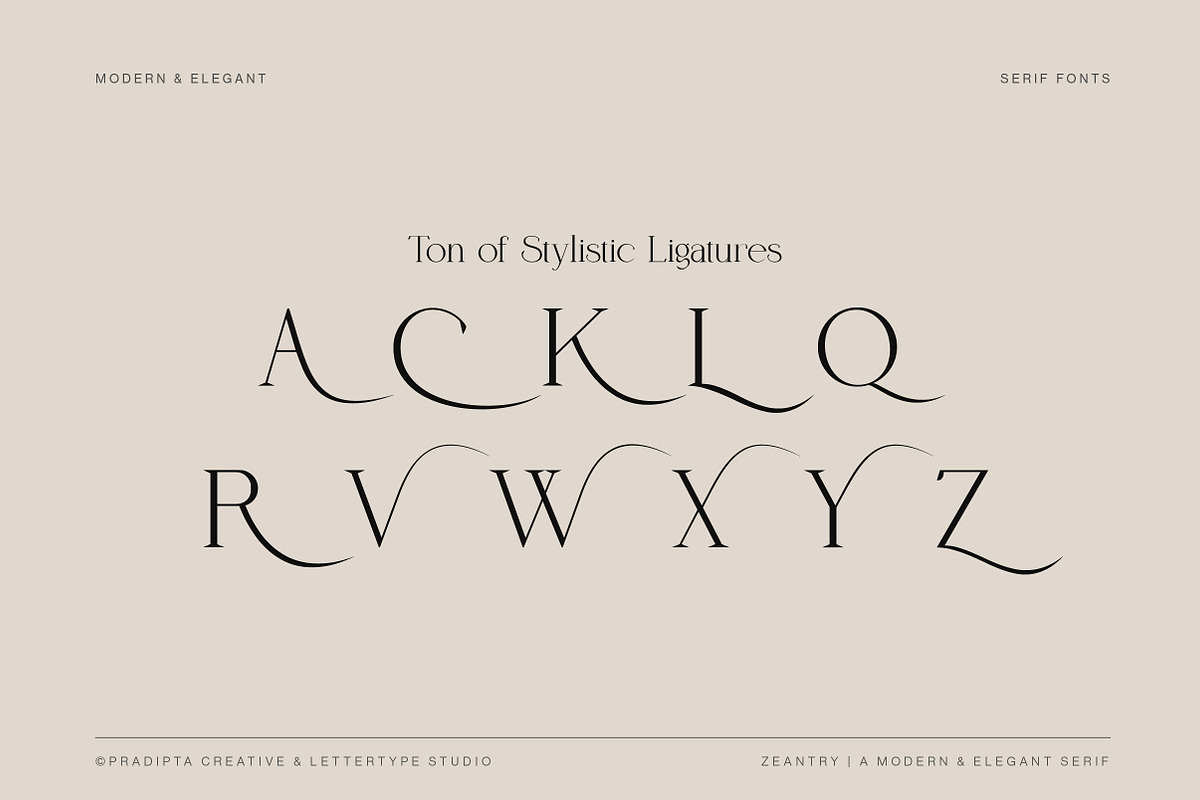 Zeantry a Modern & Elegant Serif, a Serif Font by Lettertype Studio (Photo 8 of 12)