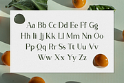 The Calling Monday - Modern Stylish, a Serif Font by RockboyStd (Thumbnail 8 of 12)