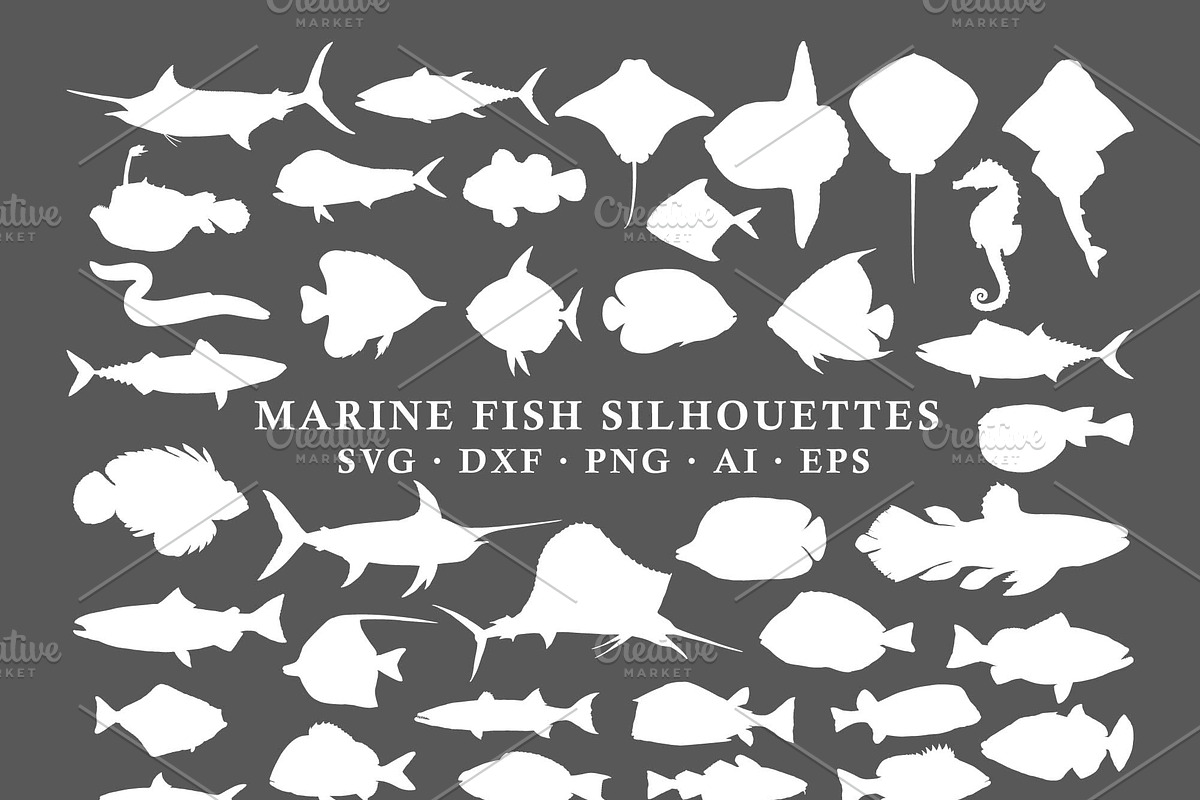 Fish Silhouettes Vector Pack, an Animal Illustration by Seaquint (Photo 3 of 3)