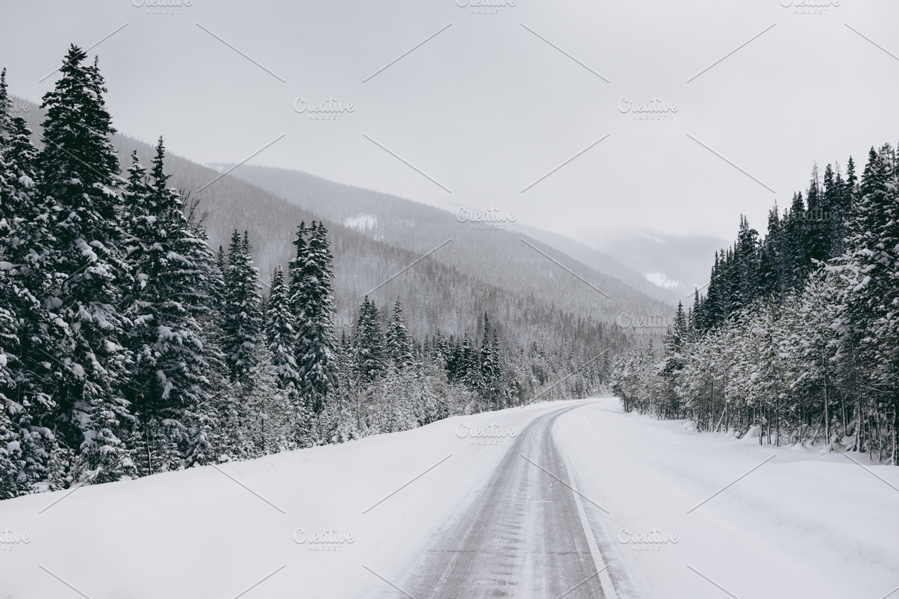 Snowy Pine Mountain Road, a Nature Photo by Suzo Images