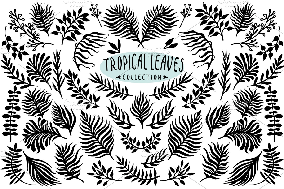 Vector leaves collection, an Illustration by Seamless and more stuff (Photo 1 of 2)