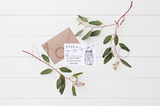 5x7 Invite Mockup - Eucalyptus 4, a Product Mockup by ILLONA GRAPHICS (Thumbnail 5 of 5)
