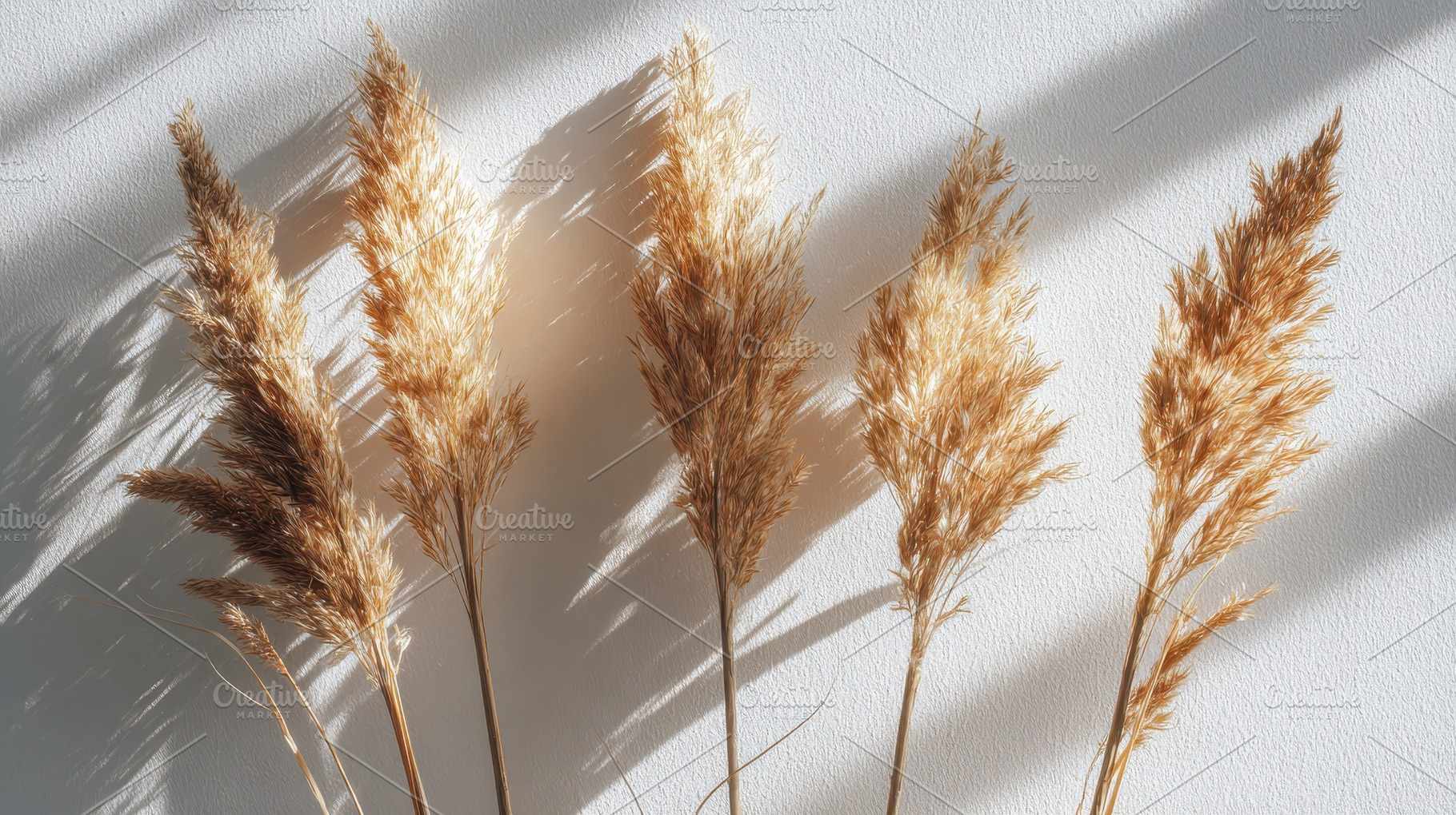 Five dried grass stems arranged, a Photo by Pavel_design