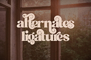 Hefton - ligature display typeface, a Serif Font by VP Fonts (Thumbnail 18 of 19)
