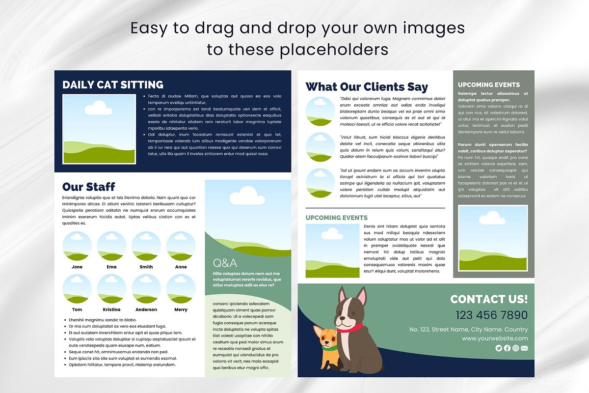 Canva Newsletter Template Pet Care, an Email Template by PixelCraft (Photo 11 of 15)