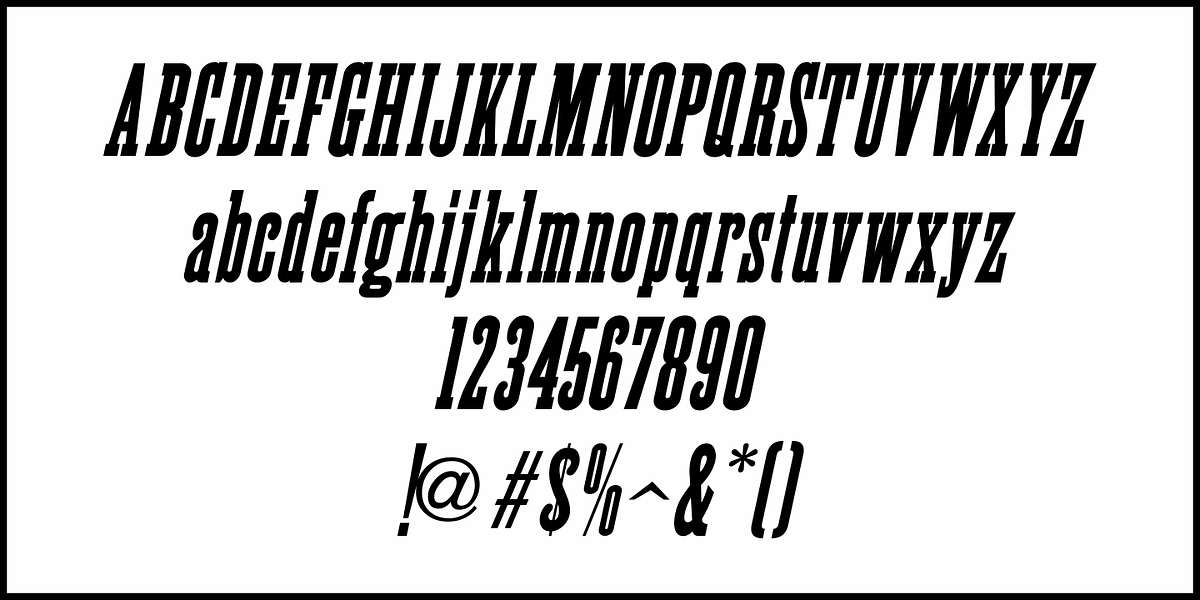 General Merchandise JNL, a Slab Serif Font by Jeff Levine Fonts (Photo 5 of 5)
