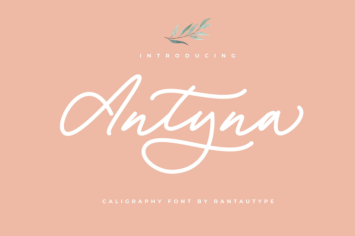 Antyna Handwritten Font, a Font by RantautypeStudio (Photo 1 of 13)