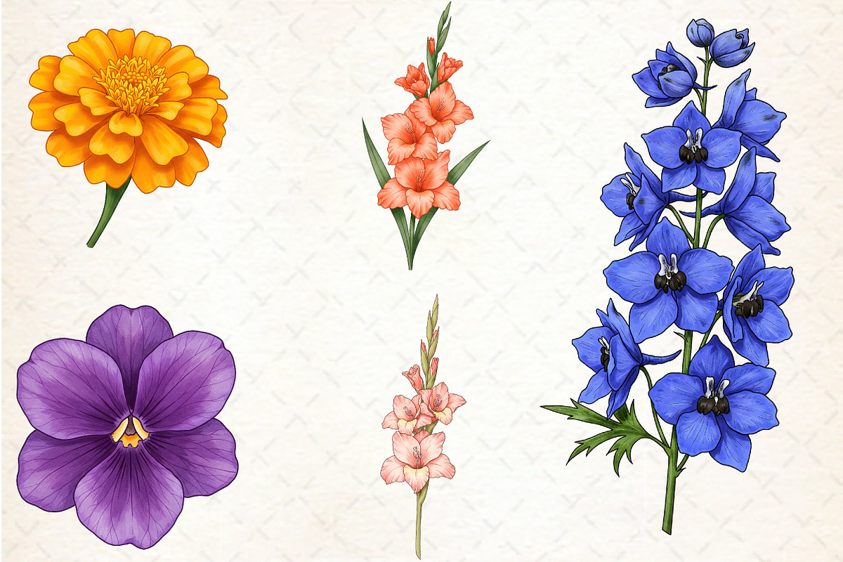 Watercolor Birth Month Flowers Clipa, an Illustration by Libby Wishes (Photo 2 of 6)