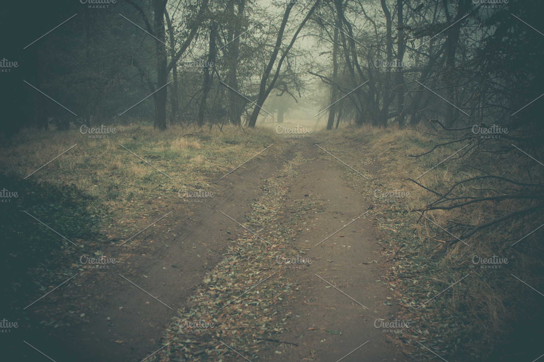 Dirt road containing dark, forest, and woods