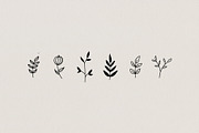 Botanical Hand Drawn Illustrations, a Decorative Illustration by Irene Florentina Design (Thumbnail 4 of 5)