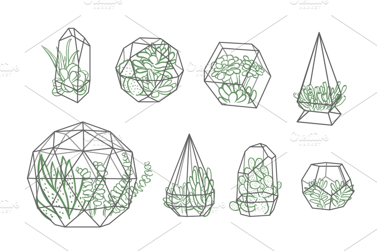 63 Succulents illustration set, a Decorative Illustration by Artha Design Studio (Photo 2 of 4)