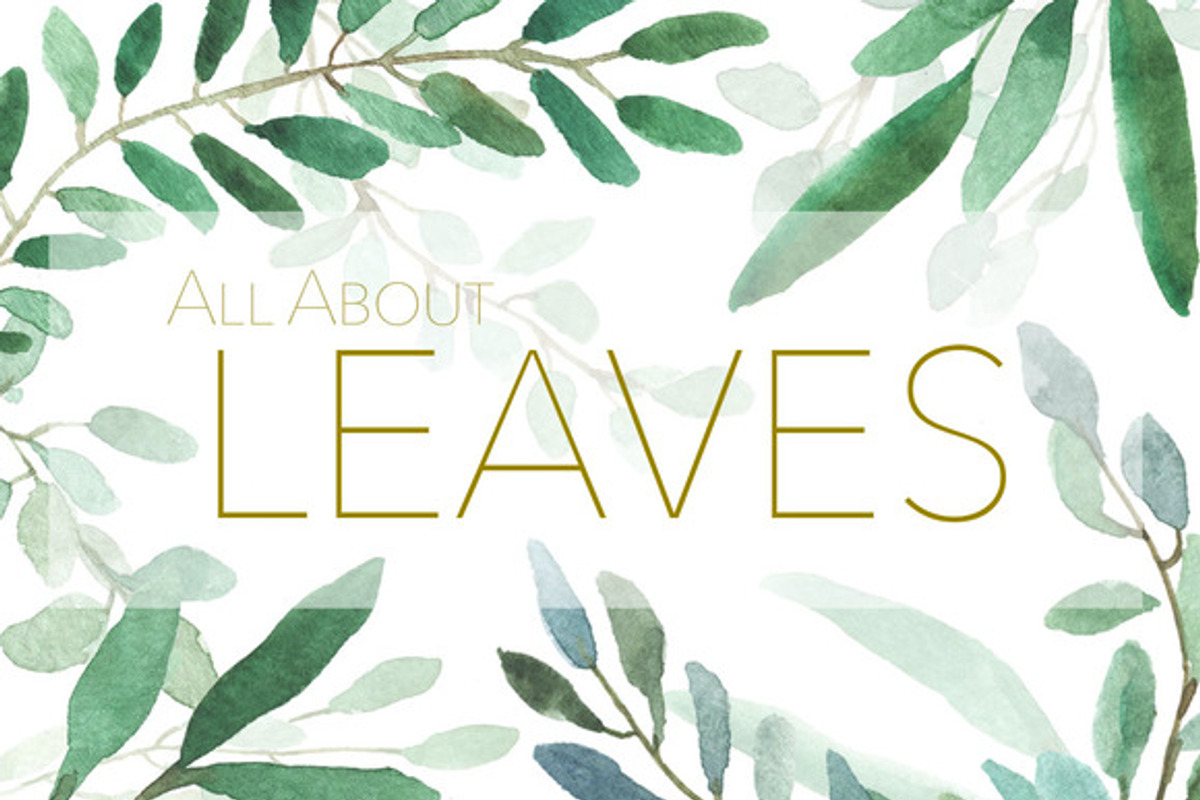 All About Leaves, an Illustration by MariePierLaf (Photo 1 of 4)