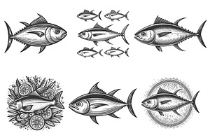 Tuna Fish engraving set vector, an Animal Illustration by AlexArt