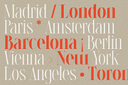 LaRuja - Light & Bold Serif Duo, a Serif Font by SilverStag Type Foundry (Thumbnail 8 of 17)