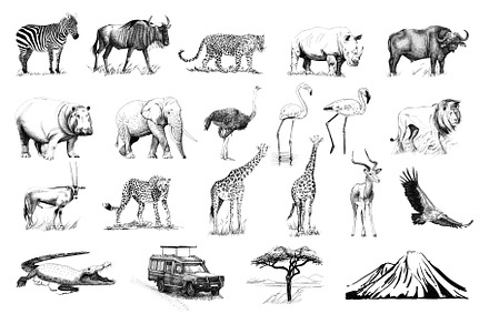Set of many african animals and car,, an Animal Photo by Byrdyak