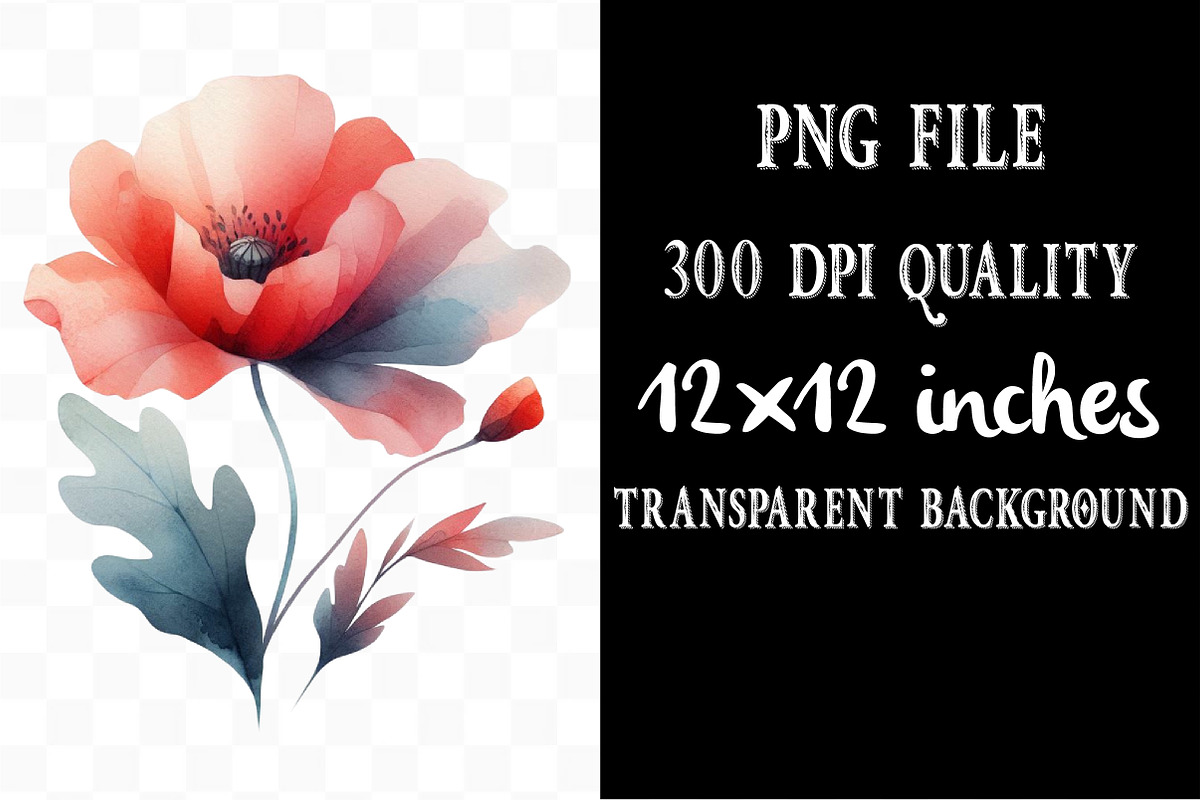 Summer Poppy Flowers Clipart, an Illustration by Designking (Photo 4 of 4)