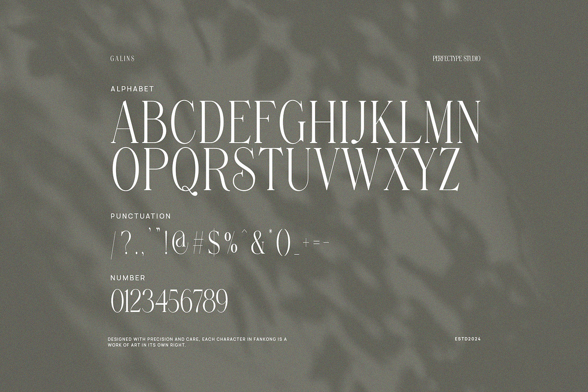 Fankong Minimalist Serif Font, a Serif Font by Perfectype (Photo 7 of 8)